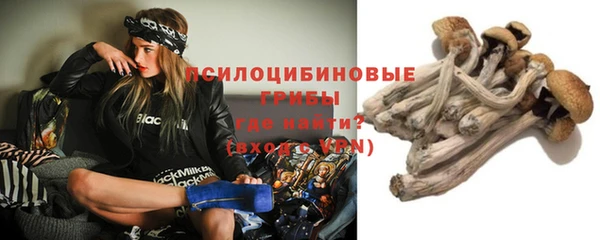 a pvp Армянск