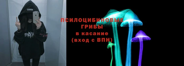 каннабис Аркадак